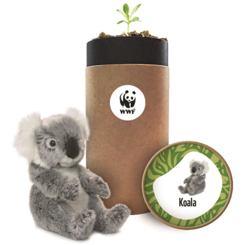 Rechtzetten mug Ga terug WWF-knuffel Koala (15 cm)