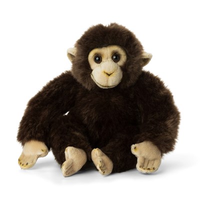 Blaast op Beeldhouwwerk Omleiding Knuffel aap kopen | WWF | Steun natuur met jouw aankoop