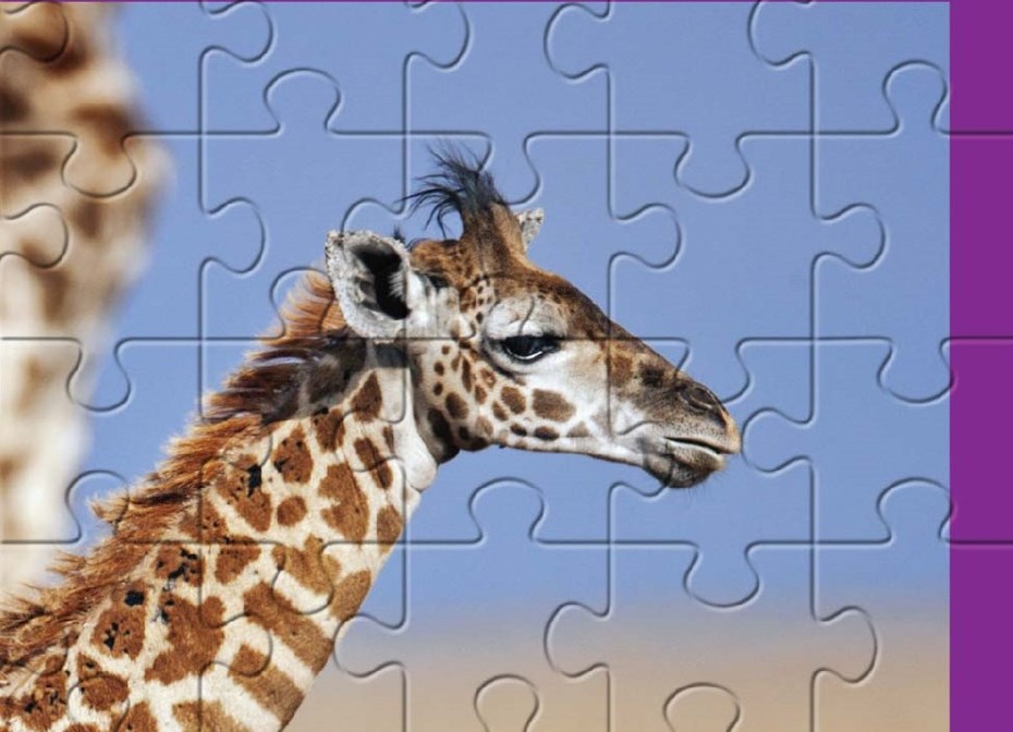 Ongedaan maken Kneden logboek Puzzel 100 stukjes Giraffe | WWF | Steun ons werk