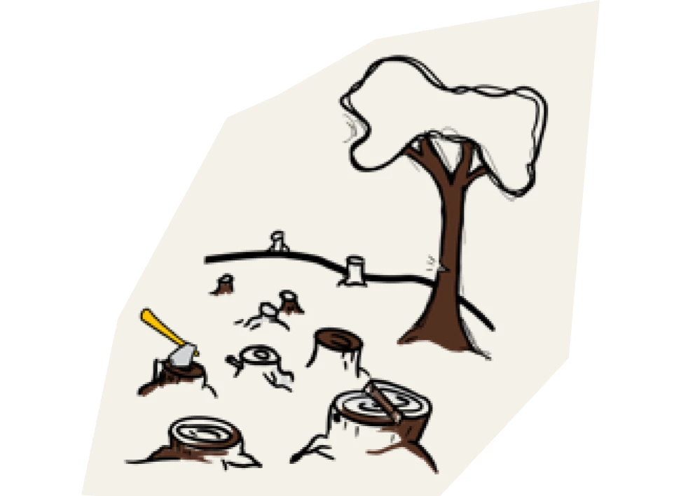 trendcheck koffie bomen.jpg