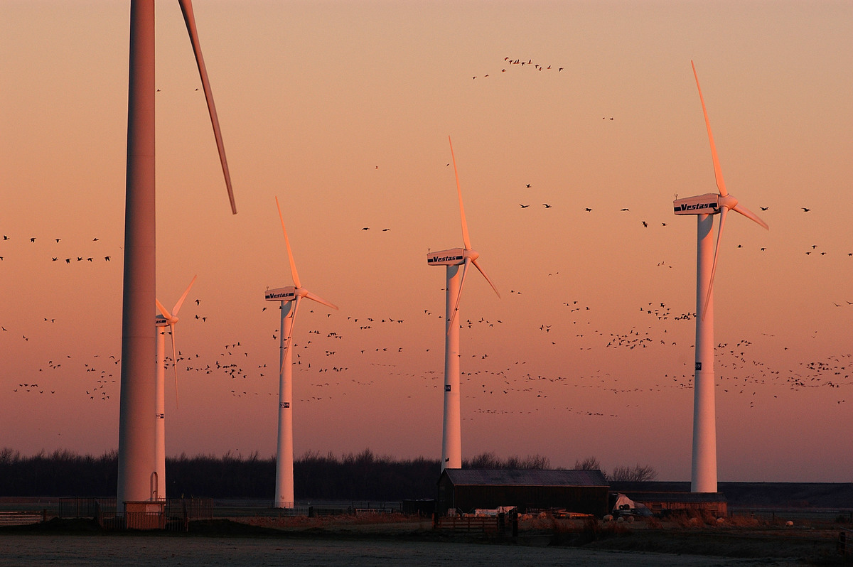 Windmolens Nederland WW2250