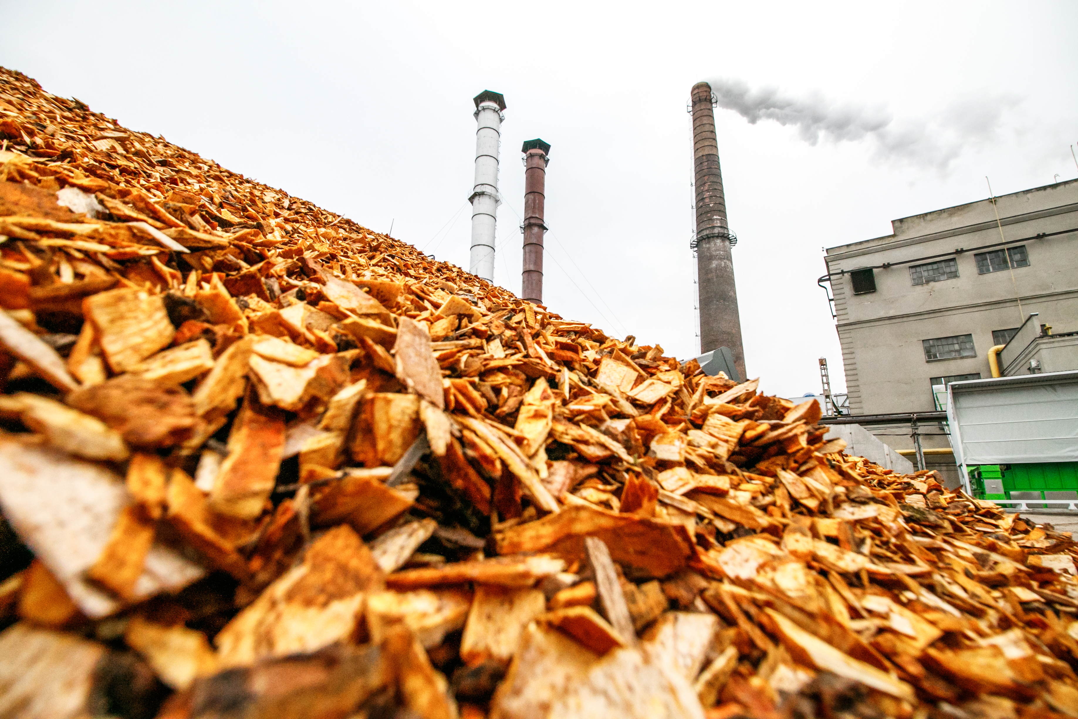 De bijstook van biomassa in kolencentrales